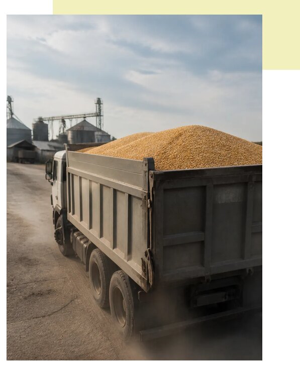 Перевозка сельхозпродукции навалом в Балашиху по цене от 3076 р. | Агросервис-Блш